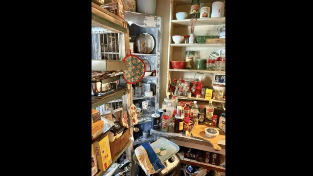 can-you-spot-the-mischievous-kitten-in-under-10-seconds